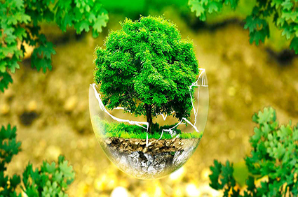 CONSULTORIA EN MEDIO AMBIENTE