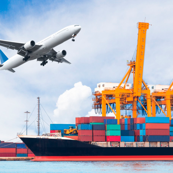 Importación y Exportación