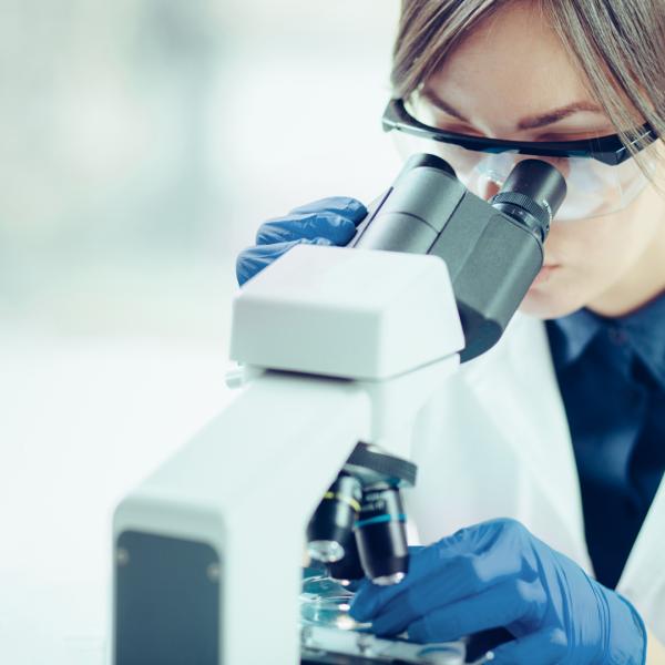 Investigación Científica